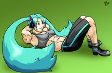 commission___hatsune_miku___fmg_part_08_of_11_by_swemu_d4w0q7a.jpg