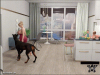 13 00_00_00-00_00_30.gif