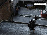 Alleykitten 1a.jpg