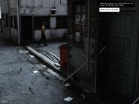 Alleykitten 5a.jpg