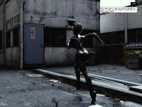 Alleykitten 7a.jpg