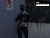 Alleykitten 8a.jpg