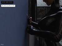 Alleykitten 9a.jpg