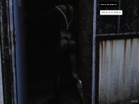 Alleykitten 10a.jpg