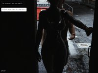 Alleykitten 11a.jpg