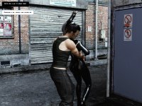 Alleykitten 14a.jpg
