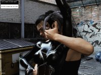 Alleykitten 15a.jpg