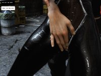 Alleykitten 17a.jpg