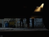 Alley kitten 2-89a.jpg