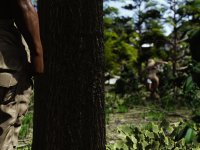 Survival game 3-4a.jpg