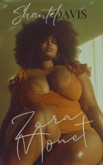 Zara Monet_ A BBW Grey Romance - Shantel Davis.jpg Zara Monet_ A BBW Grey Romance - Shantel Davis.jpg