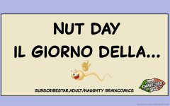 nd 0.jpg