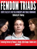 Femdom Triads_ Erotic Tales of Three-way Relationships and Female Dominance - Kylie Cooper.jpg Femdom Triads_ Erotic Tales of Three-way Relationships and Female Dominance - Kylie Cooper.jpg