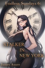 Endless Sundays 6_ Stalker in New York. - James Azure.jpg