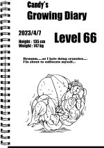Candy Level66.jpg