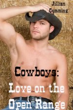 Cowboys_ Love on the Open Range - Jillian Cumming.jpg
