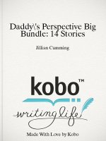 Daddy's Perspective Big Bundle_ 14 Stories - Jillian Cumming.jpg