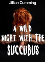 Wild Night with the Succubus, A - Jillian Cumming.jpg