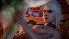 Pup_Fiction_Ciri_5_collar.png