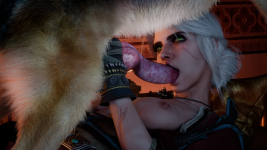 Pup_Fiction_Ciri_8_clothes.png