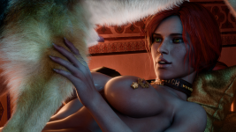 Pup_Fiction_Triss_2_collar.png