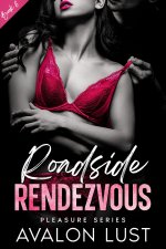 Roadside Rendezvous _ Pleasure Series Book 6 - Avalon Lust.jpg
