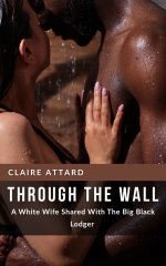 Through The Wall_ A White Wife Shared With The Big Black Lodger - Claire Attard.jpg