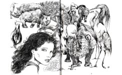 Crepax Erotica 3-040.jpg