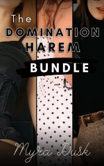Domination Harem Bundle (Domination in the Harem Penthouse), The - Myra Dusk.jpg