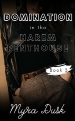 Domination in the Harem Penthouse_ Book 3 - Myra Dusk.jpg