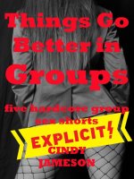 Things Go Better in Groups_ Five Hardcore Group Sex Shorts - Cindy Jameson.jpg