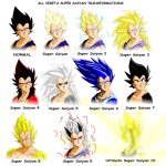 All_vegeta_super_saiyan_transformations_by_bocodamondo-d4the63.jpg