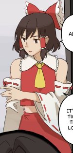 Touhou Cosplay Transformation 2.jpg