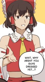 Touhou Cosplay Transformation 3.jpg