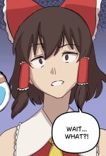 Touhou Cosplay Transformation 6.jpg