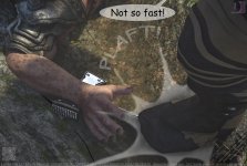 55.jpg
