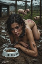 Vjpg (2).jpg
