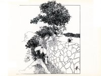 phvsa_008.jpg