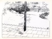 phvsa_009.jpg