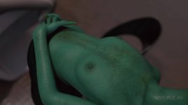 80.JPG
