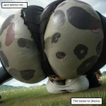 The Last Boob Bender 11-69.jpg