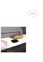 70.jpg