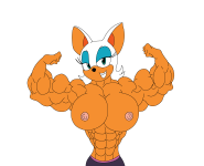 IMG_1498.png