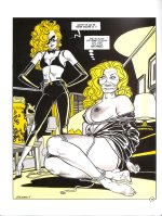La Blonde-Tome 2-46.jpg