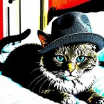 07873-1000-cat in a hat.jpg.webp