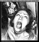 action018.jpg
