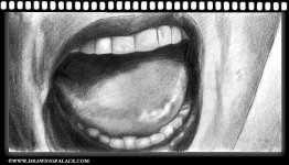 action071.jpg