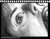 action076.jpg