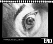 action077.jpg