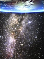 173.webp